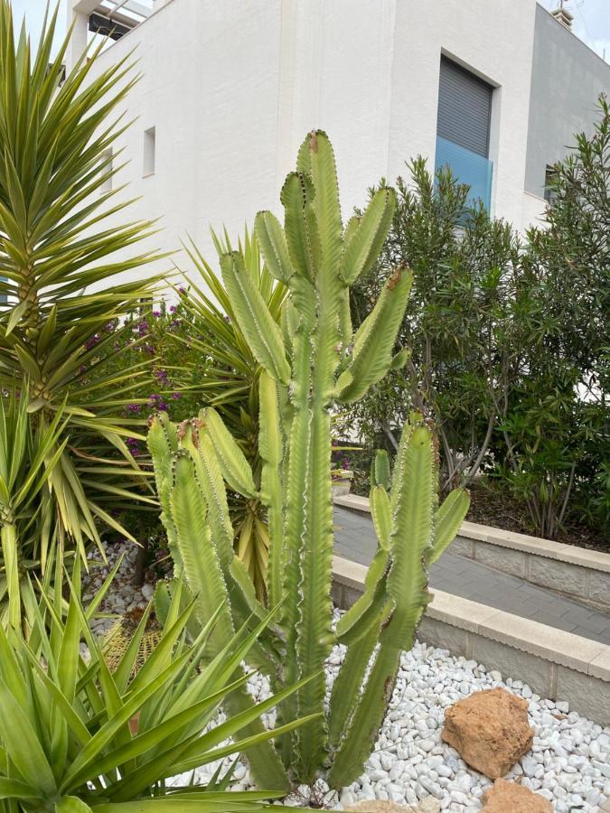 Oasis Beach Apartments لقنت المظهر الخارجي الصورة