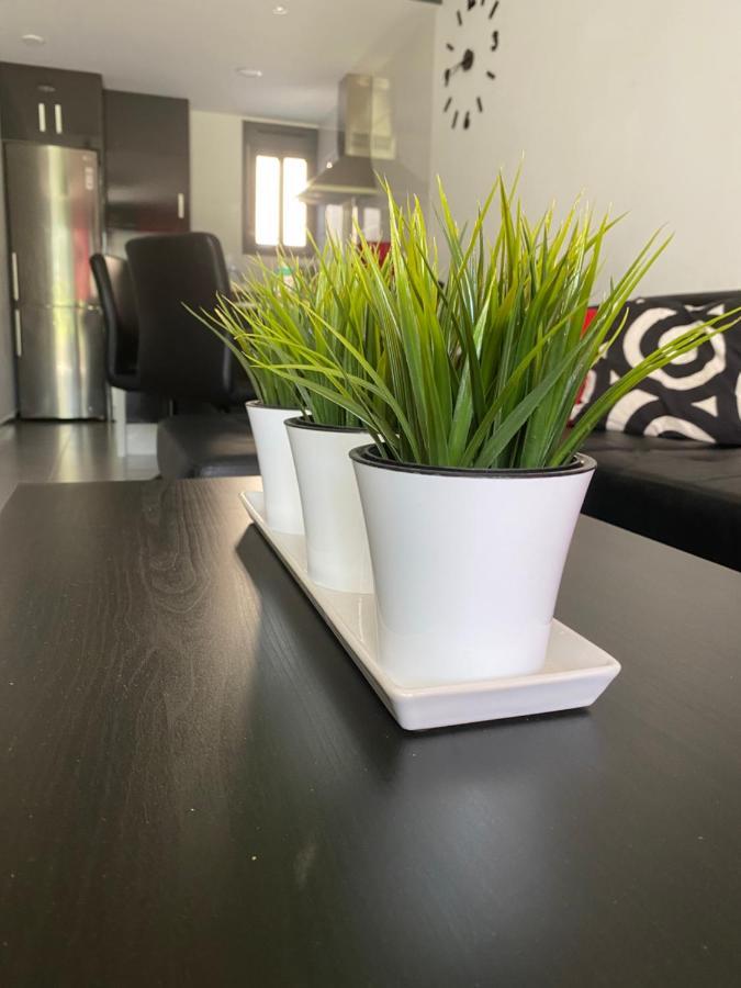 Oasis Beach Apartments لقنت المظهر الخارجي الصورة