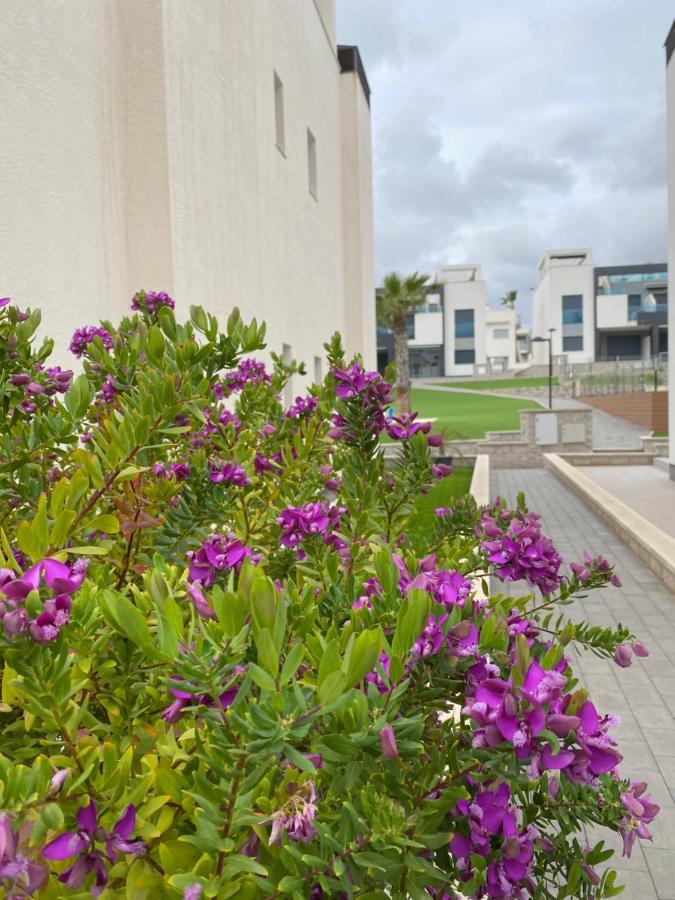 Oasis Beach Apartments لقنت المظهر الخارجي الصورة
